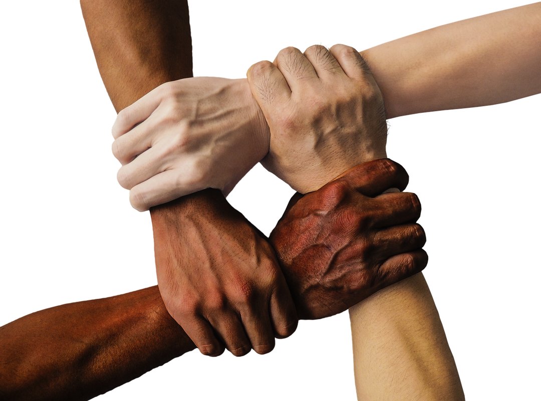 Character Arcs and Shifting Alliances